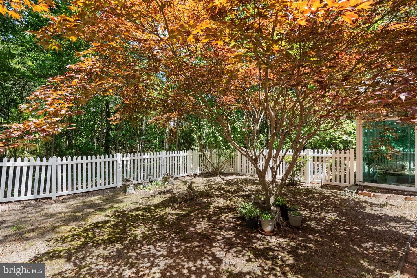 3821 Nassawango Hills Drive photo 43