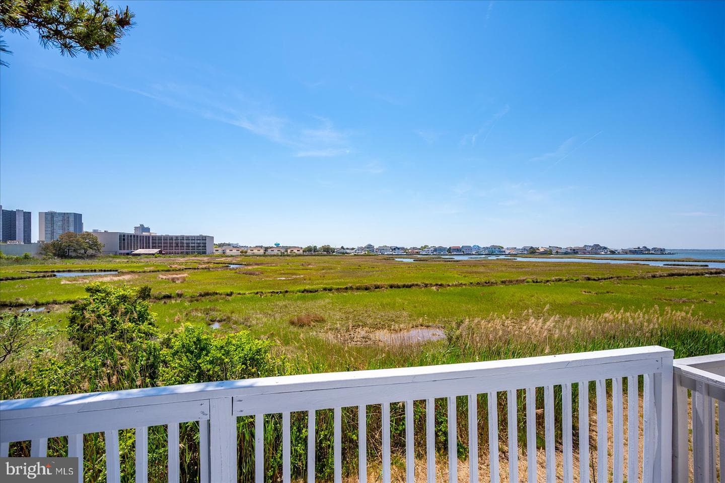 135 Jamestown Road #18a photo 42
