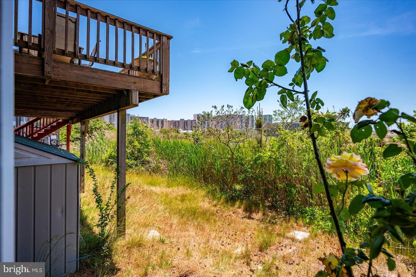 135 Jamestown Road #18a photo 48