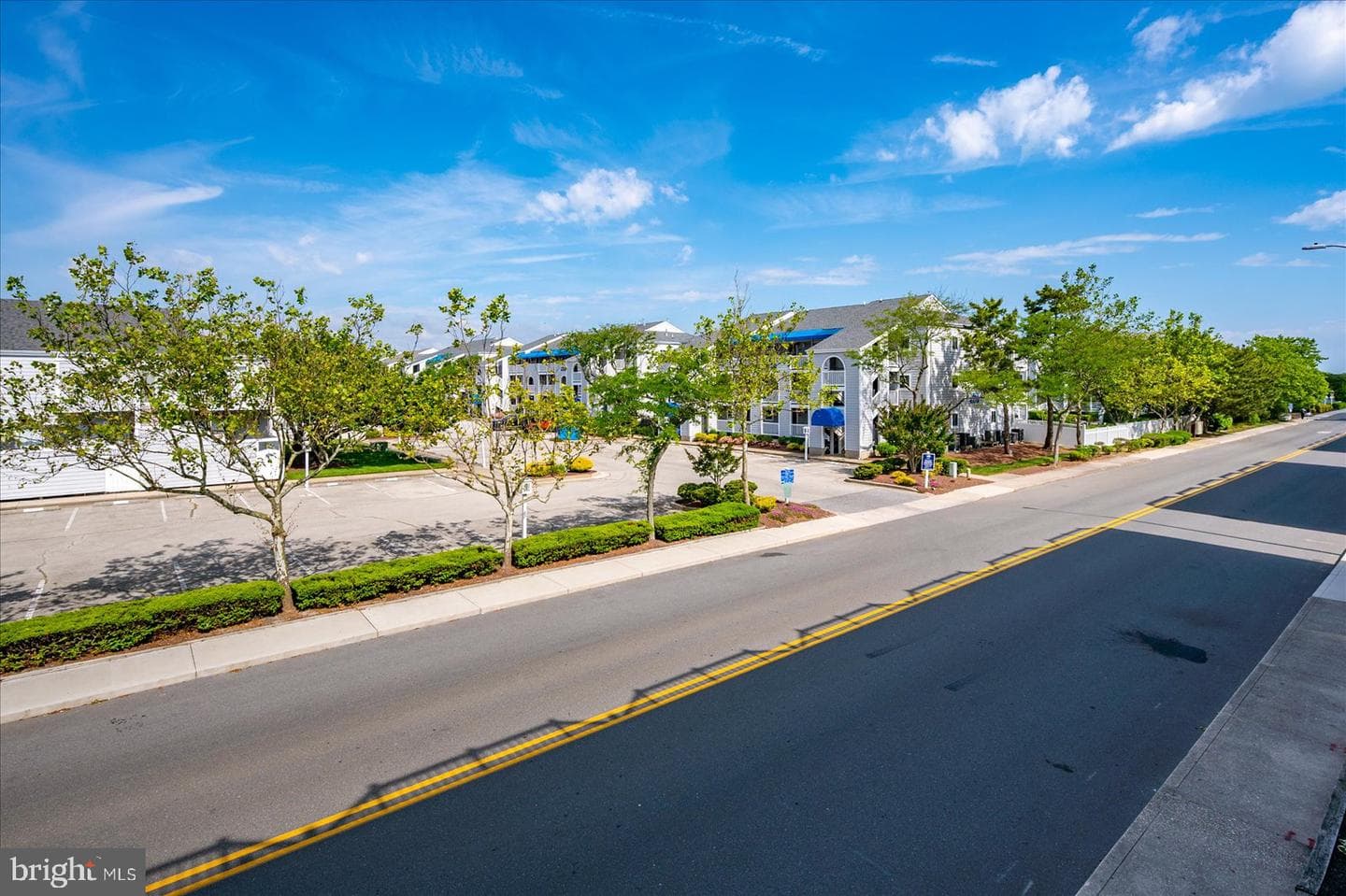 12300 Jamaica Avenue #207 photo 34
