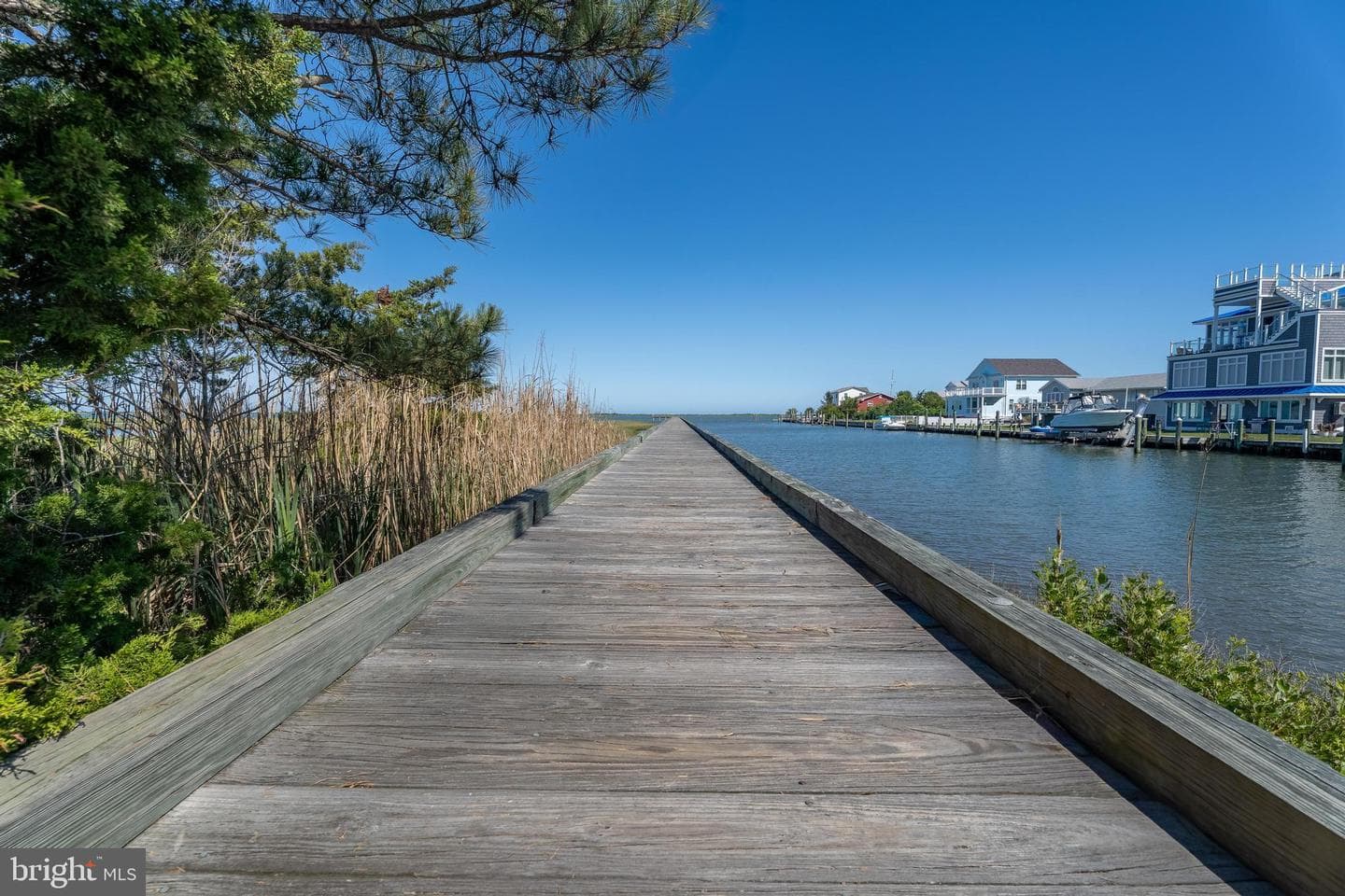 12418 Coastal Marsh Drive photo 106