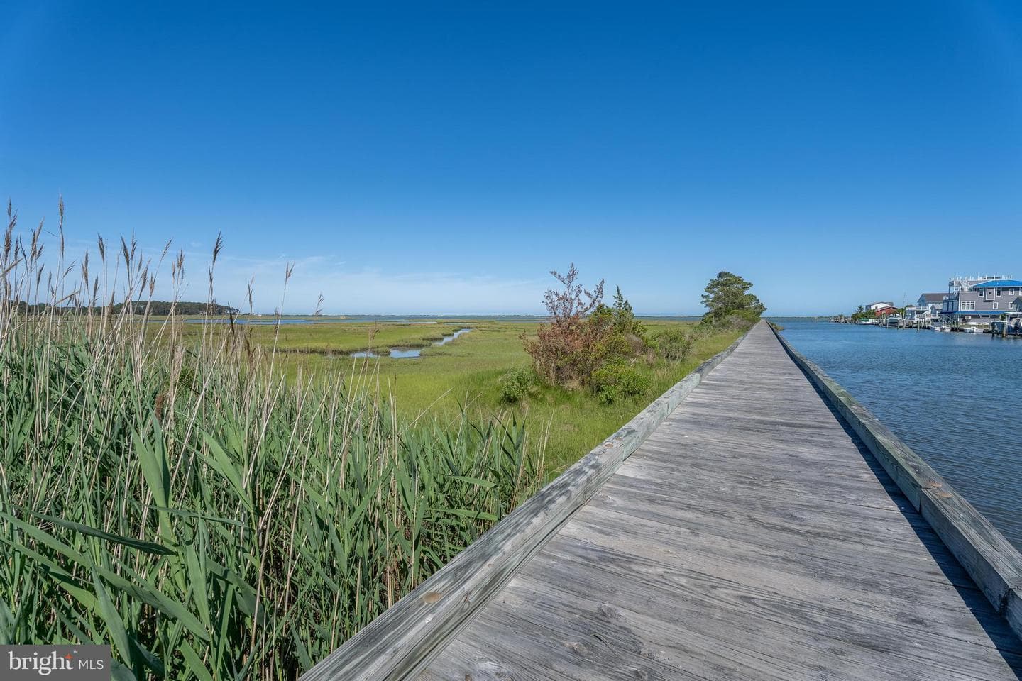 12418 Coastal Marsh Drive photo 108