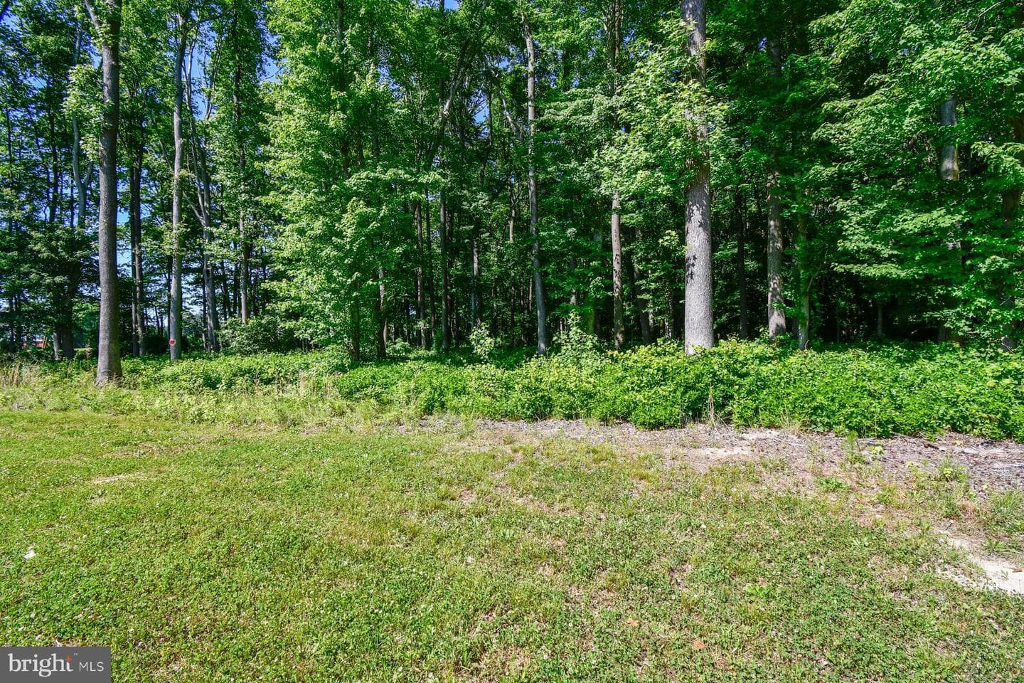 11006 Mumford Road photo 48