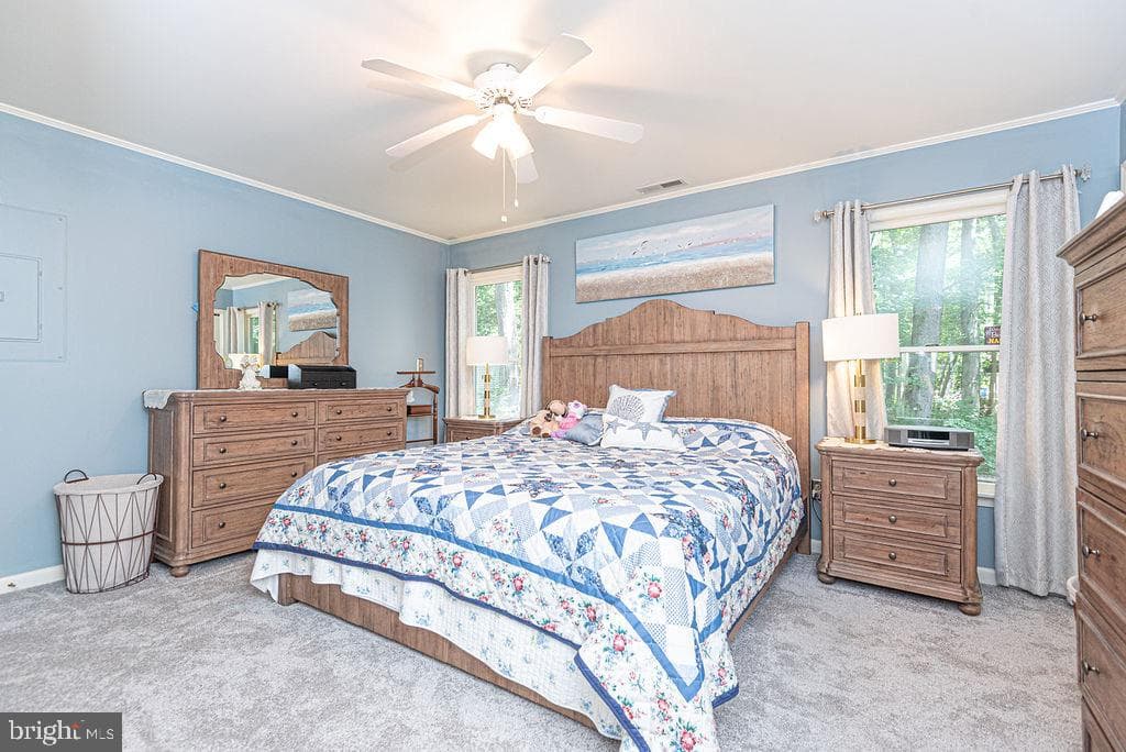 43 Briarcrest Drive photo 18
