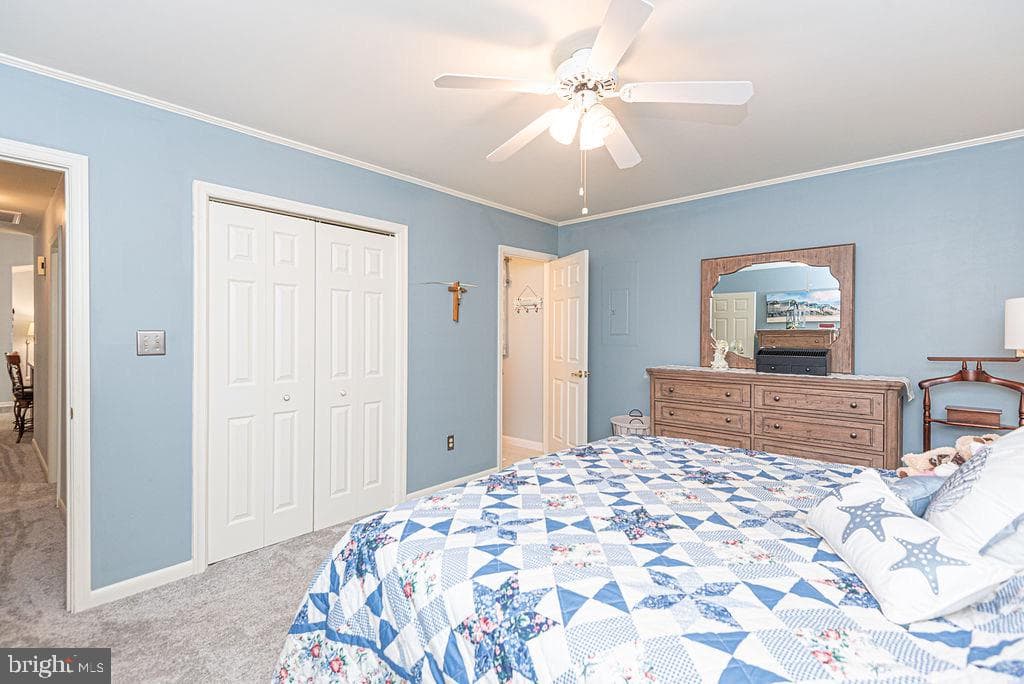 43 Briarcrest Drive photo 19