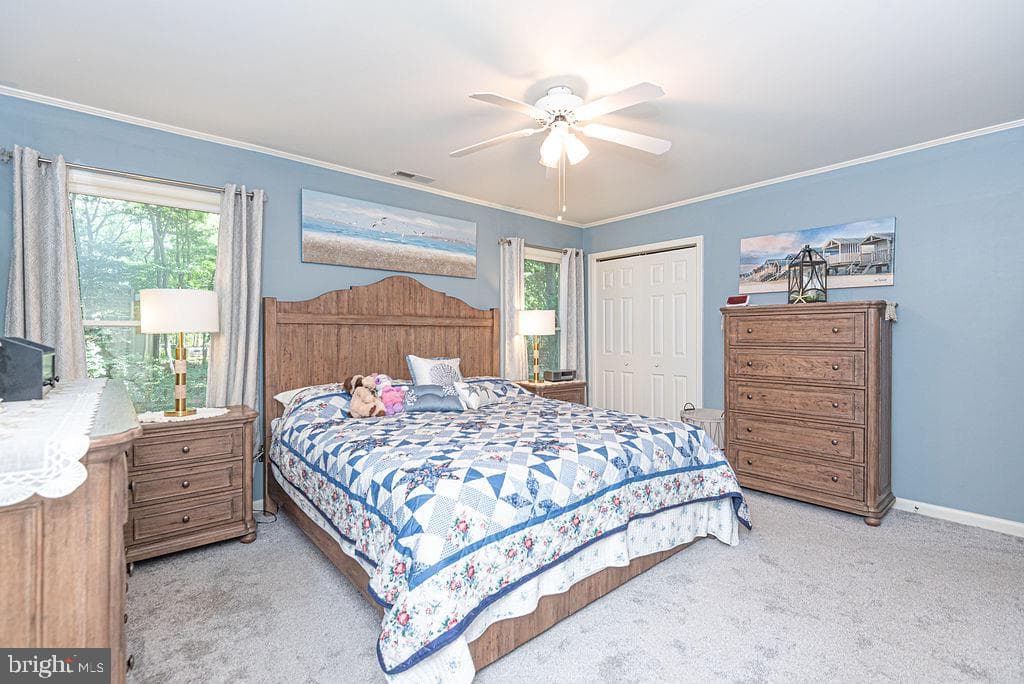43 Briarcrest Drive photo 23