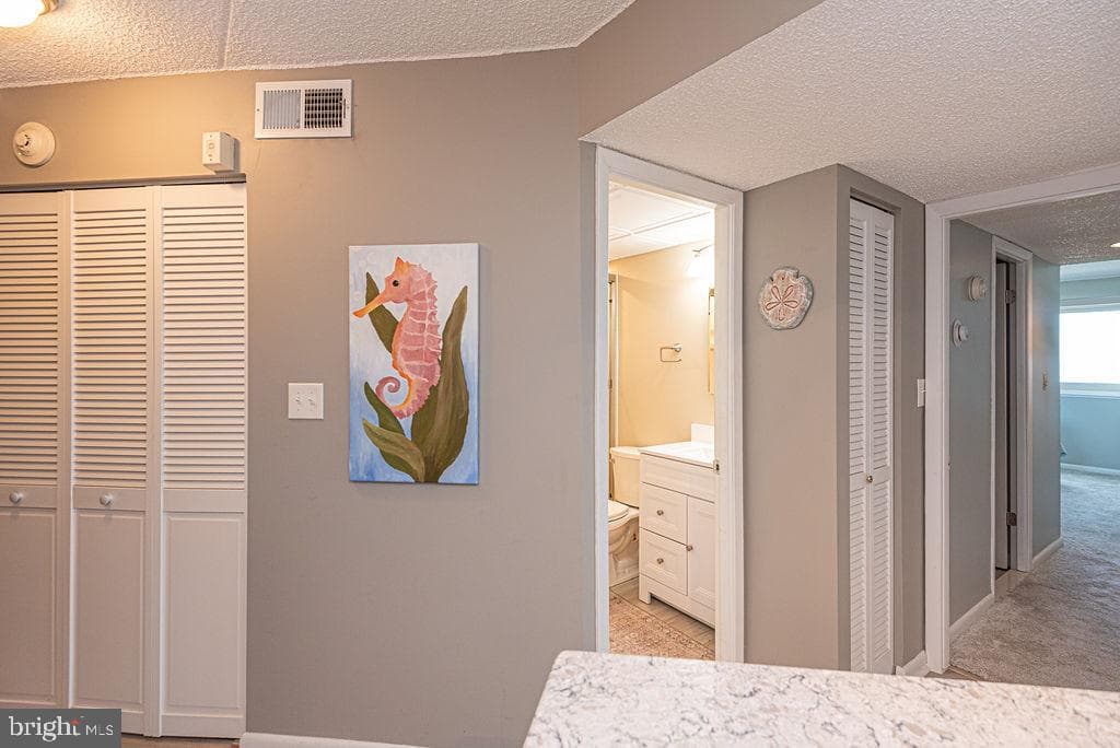 10300 Coastal Highway #506 photo 38
