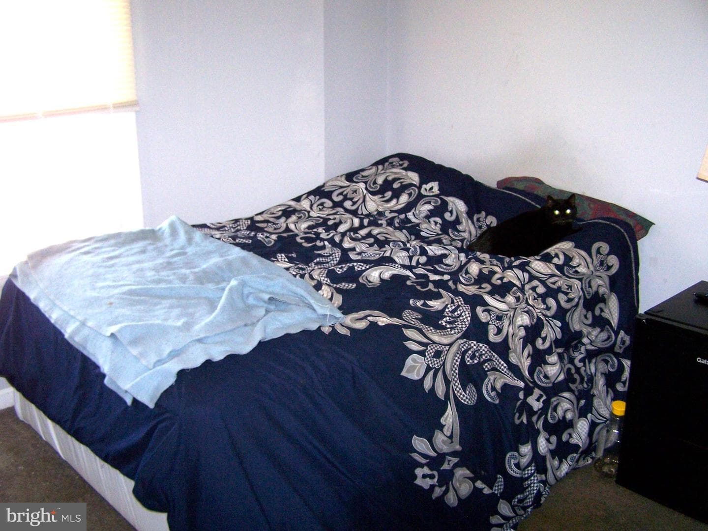 13009 Atlantic Boulevard photo 34
