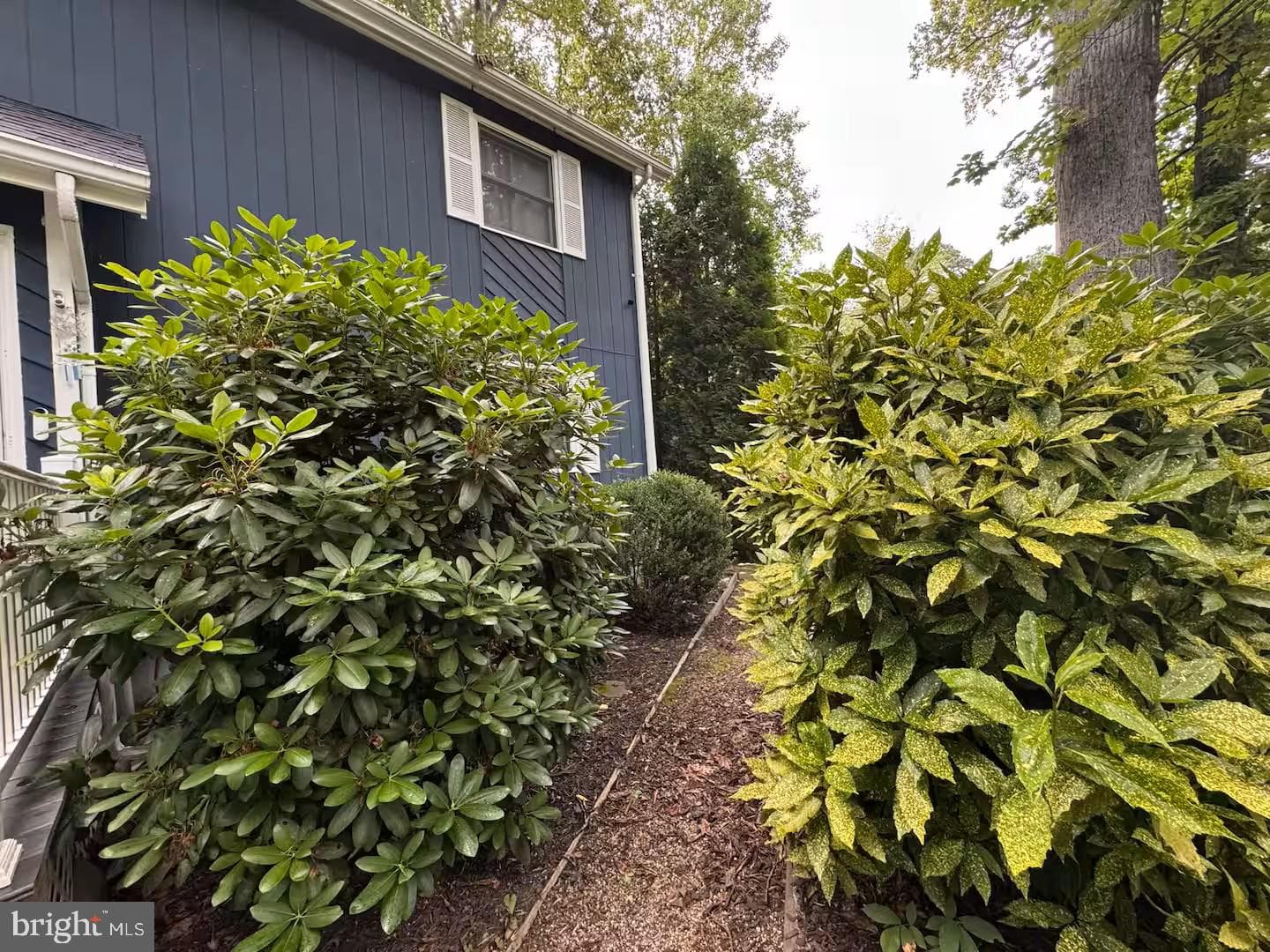 3 Starboard Court photo 14