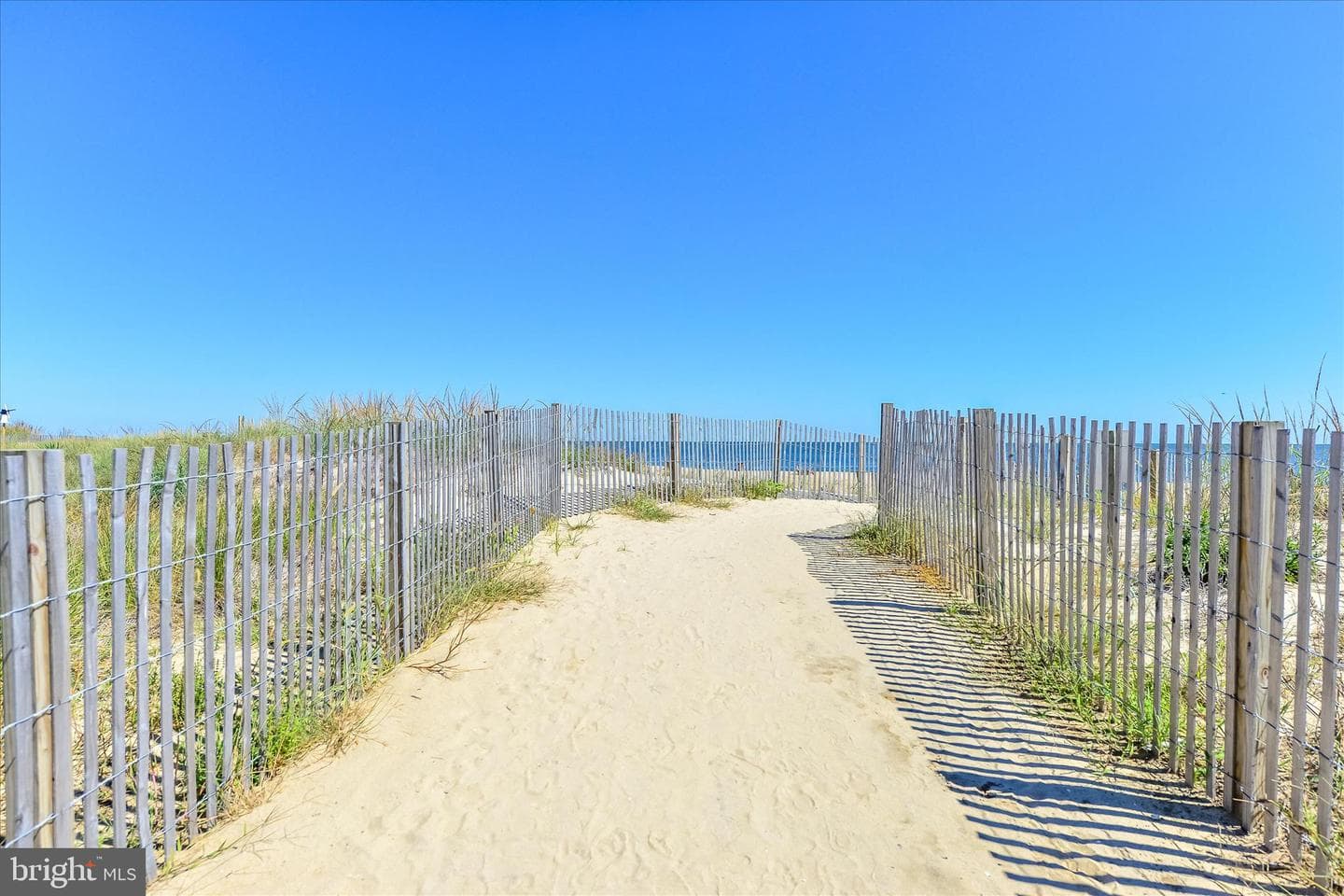 7402 Coastal Highway #204 photo 37