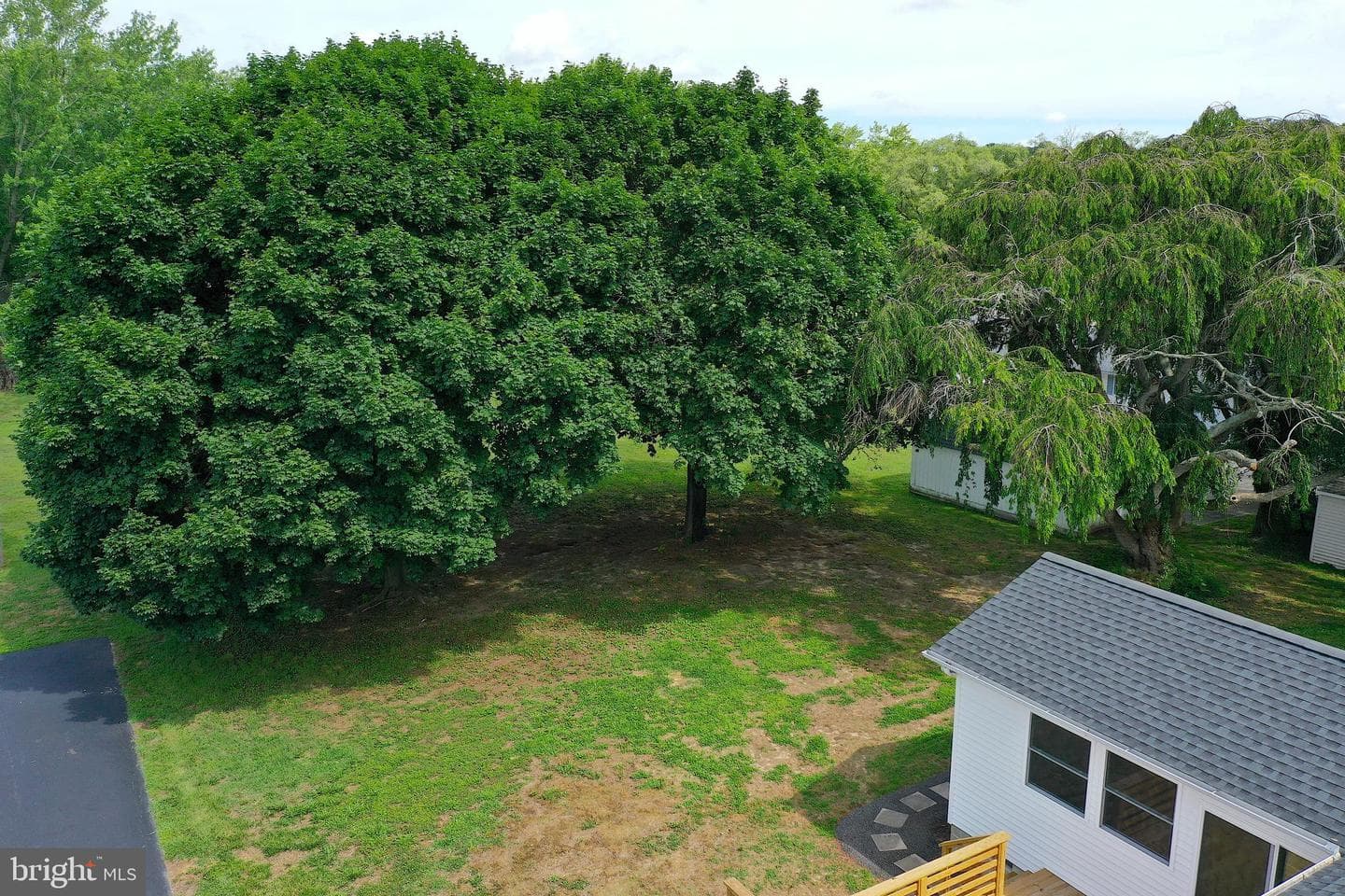 100 Esham Avenue photo 59