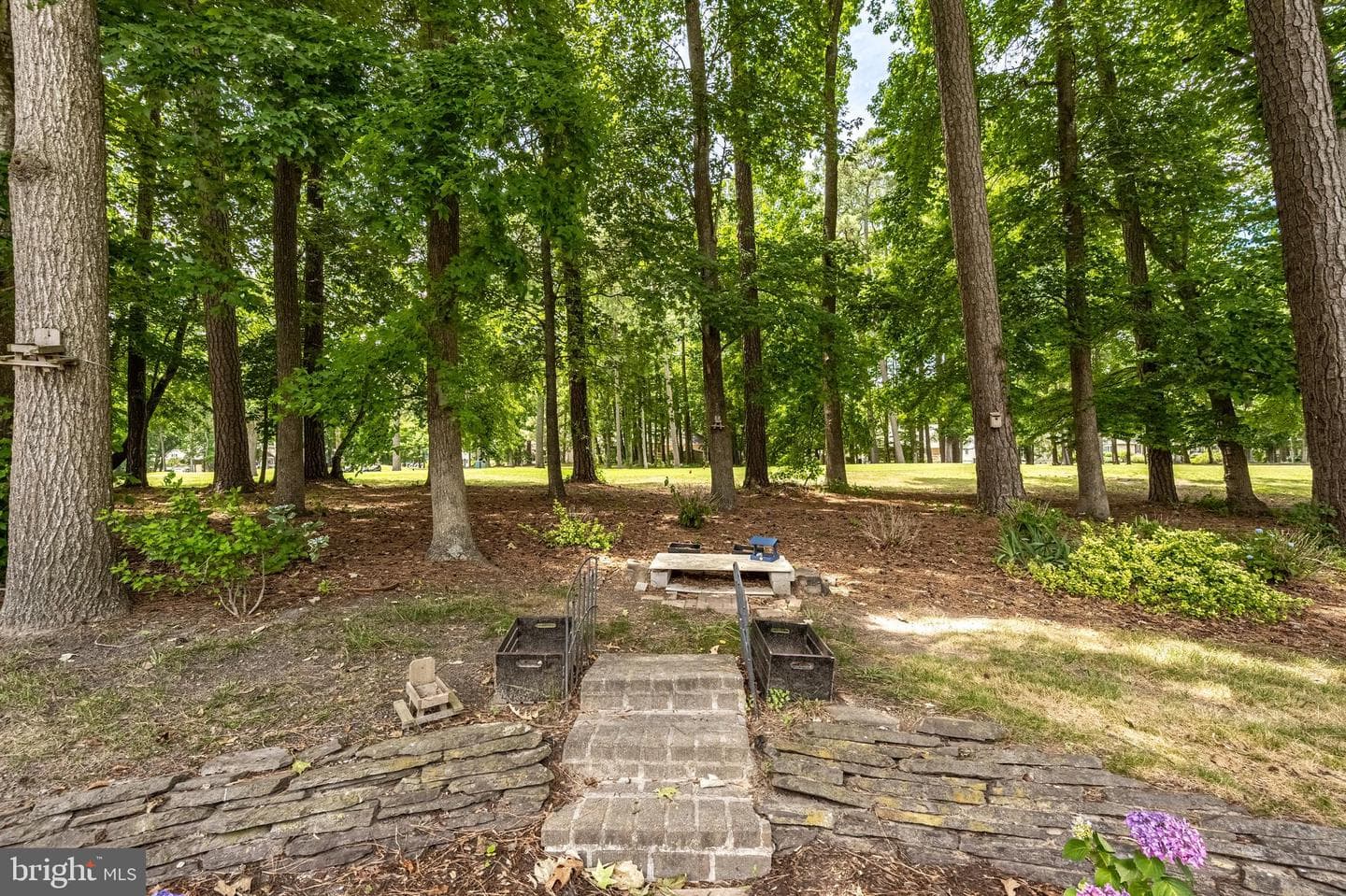 58 Hingham Lane photo 42