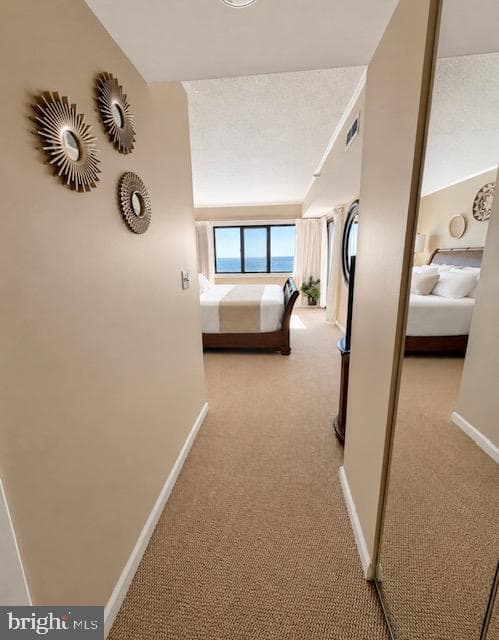 9800 Coastal Highway #207 photo 15