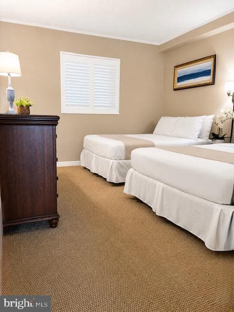 9800 Coastal Highway #207 photo 22