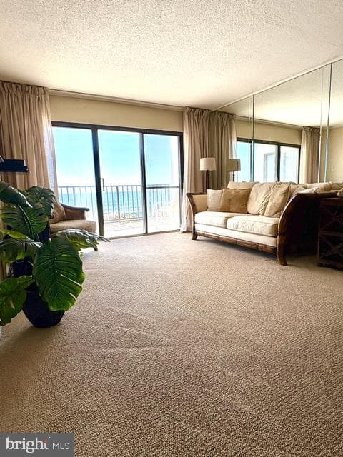 9800 Coastal Highway #207 photo 3