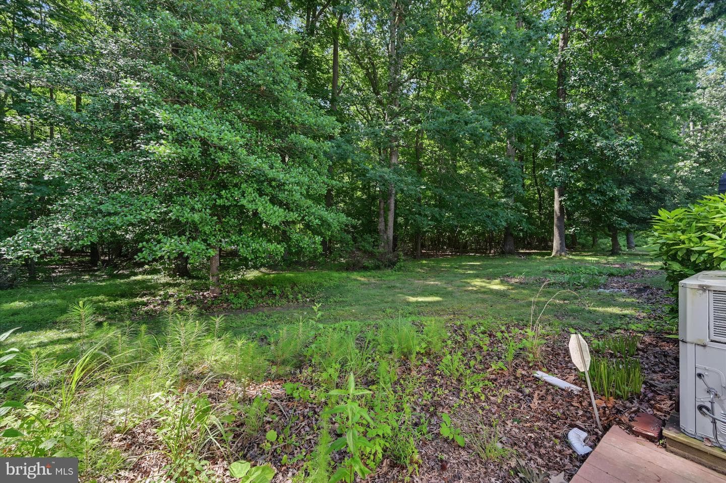 208 Timberline Circle photo 24