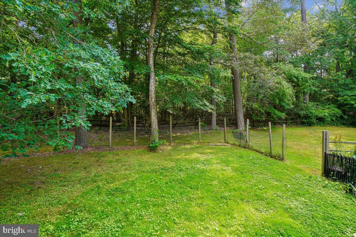 10541 Shady Drive photo 39