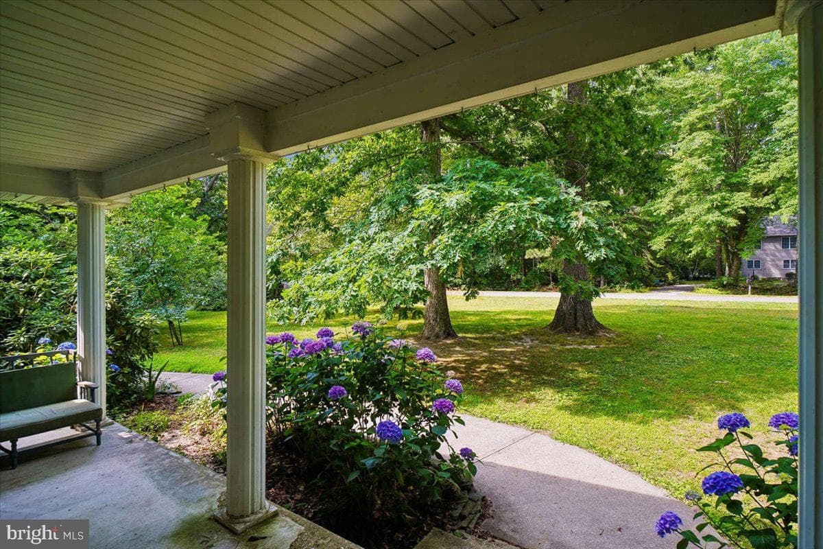 10541 Shady Drive photo 4