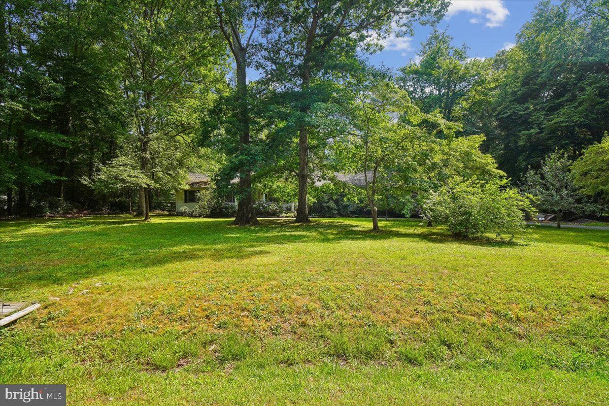 10541 Shady Drive photo 6