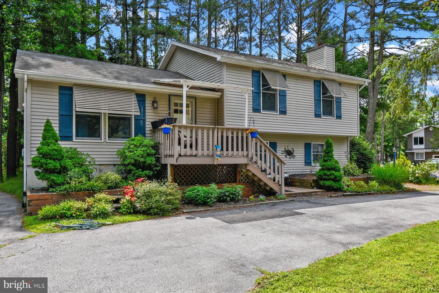 3 Boston Drive photo 44