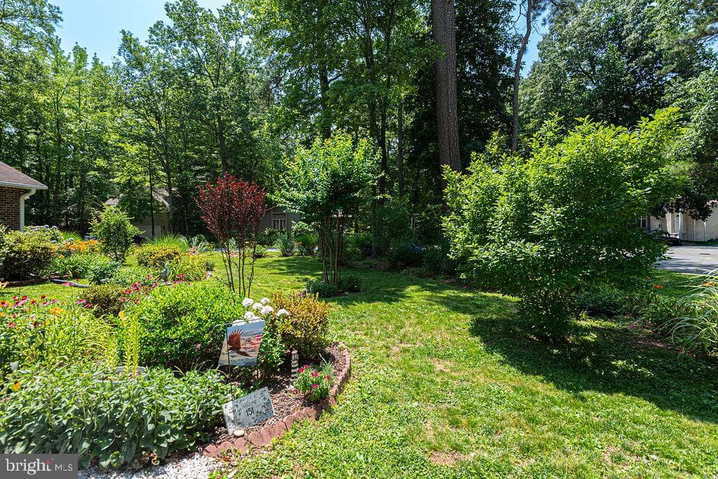 151 Sandyhook Road photo 11