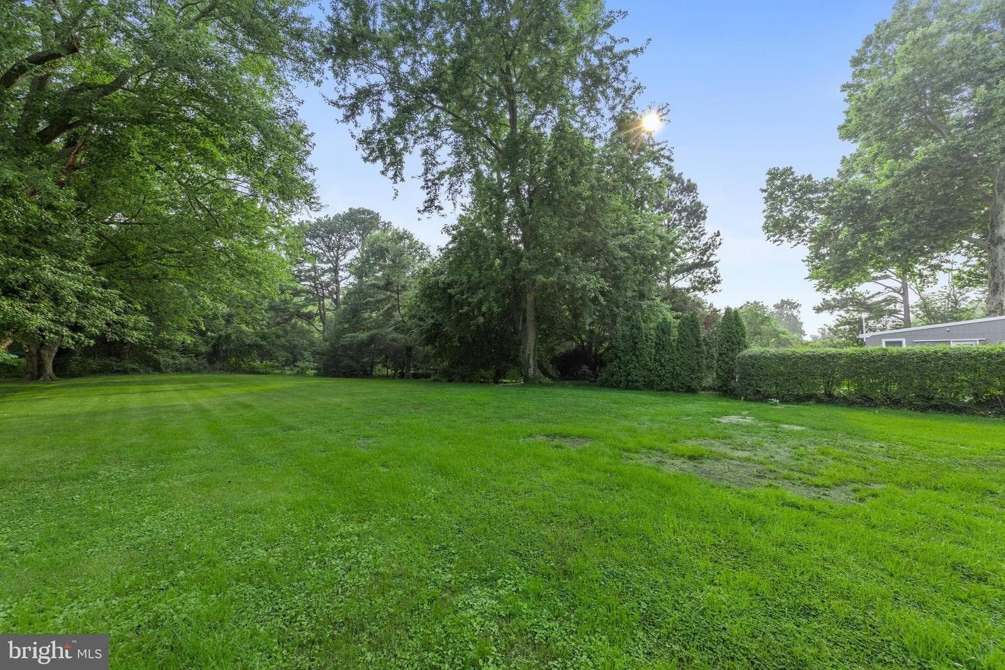 12 Burley Street photo 55