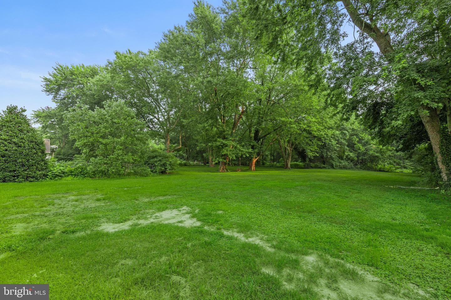 12 Burley Street photo 56