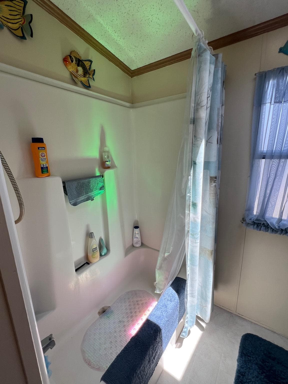 12409 Pegleg Way photo 22
