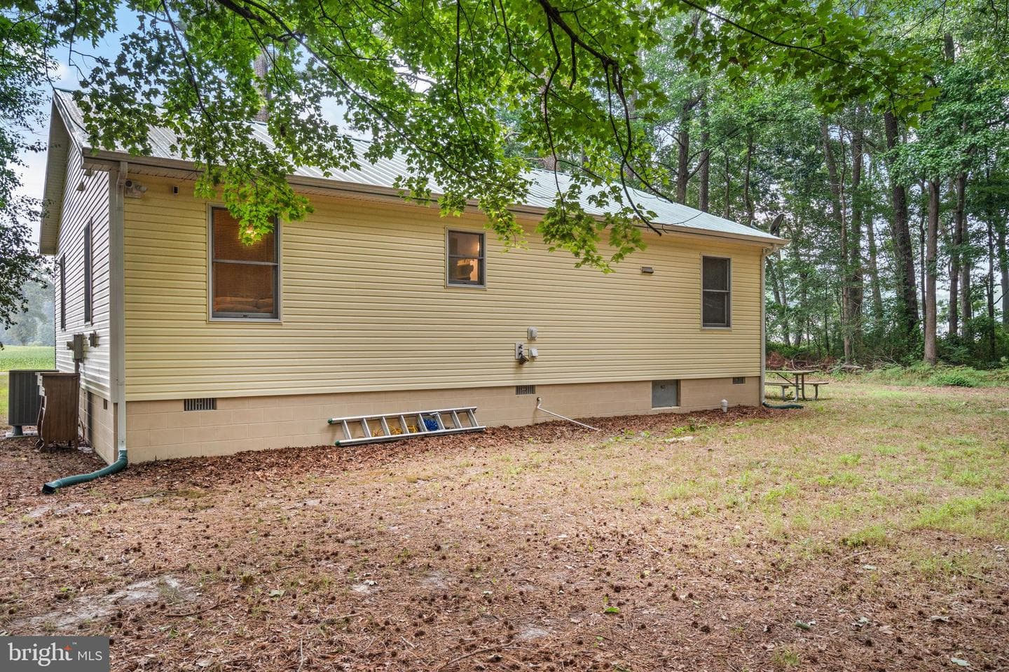 10411 Griffin Road photo 28