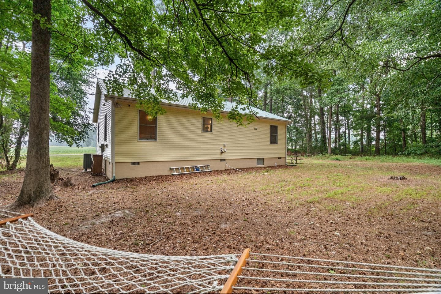 10411 Griffin Road photo 30