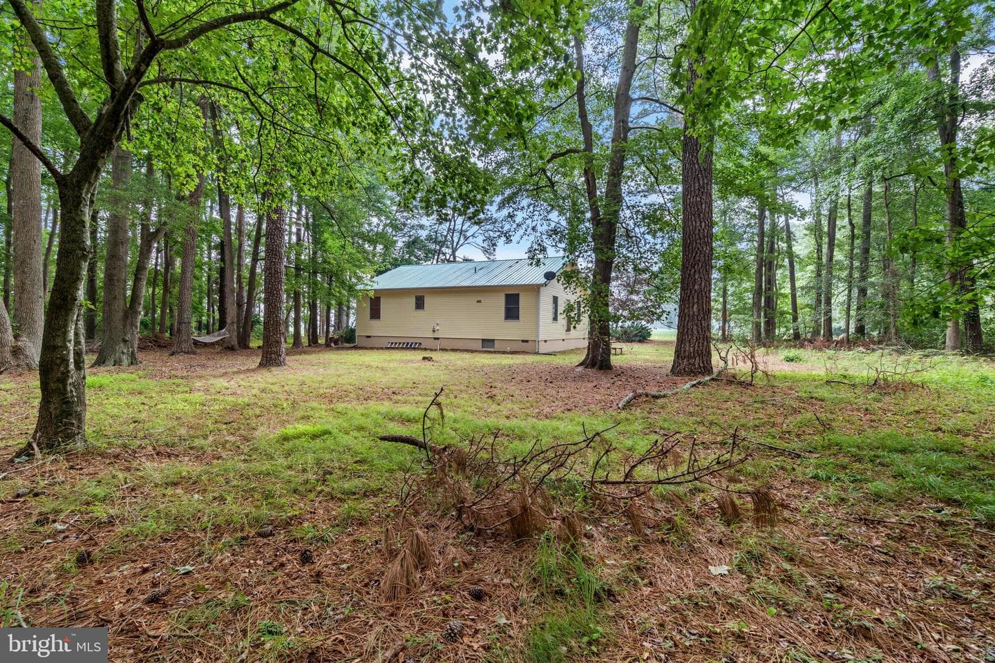 10411 Griffin Road photo 31