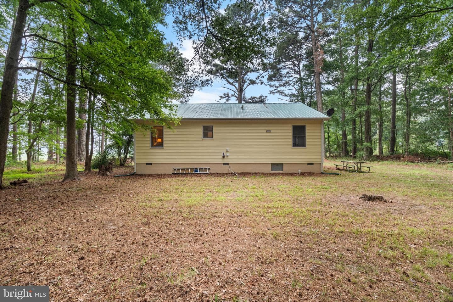 10411 Griffin Road photo 32