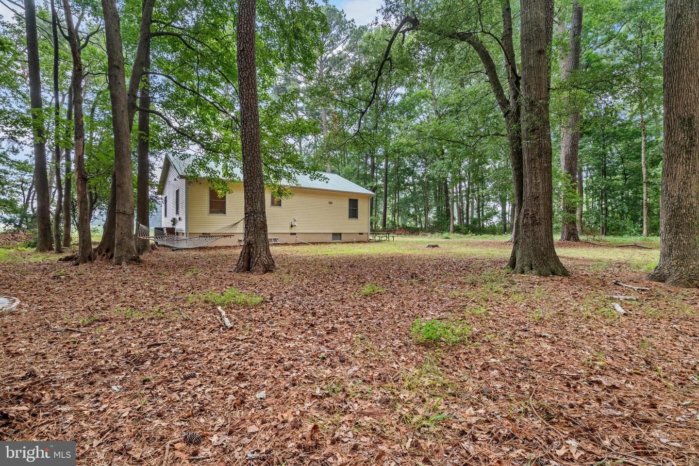 10411 Griffin Road photo 36