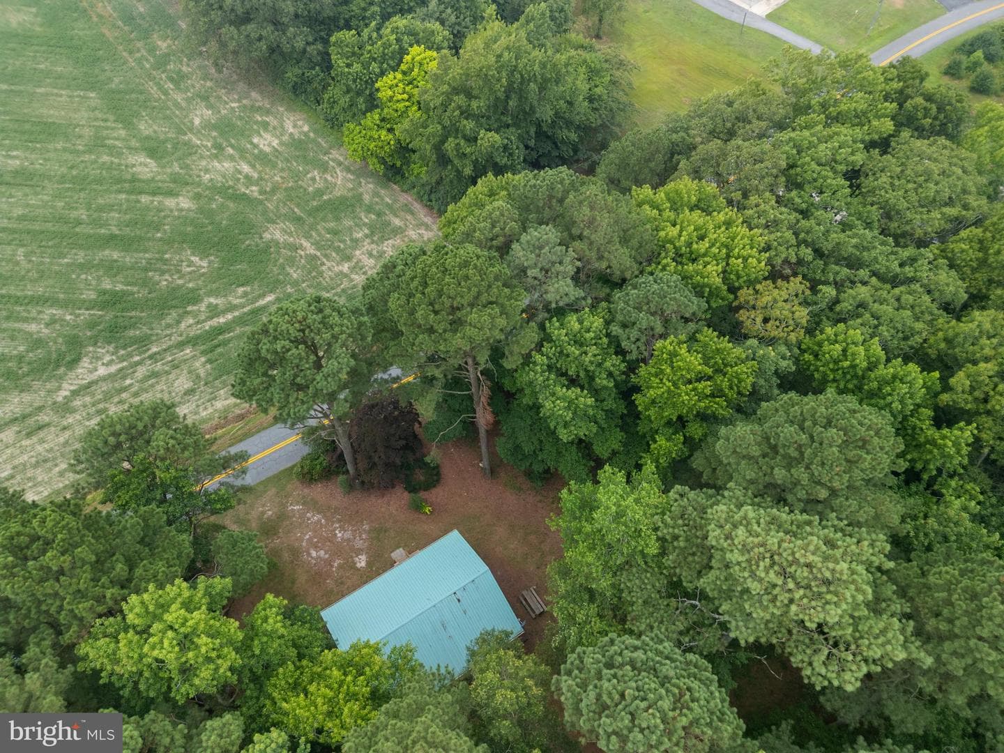 10411 Griffin Road photo 38