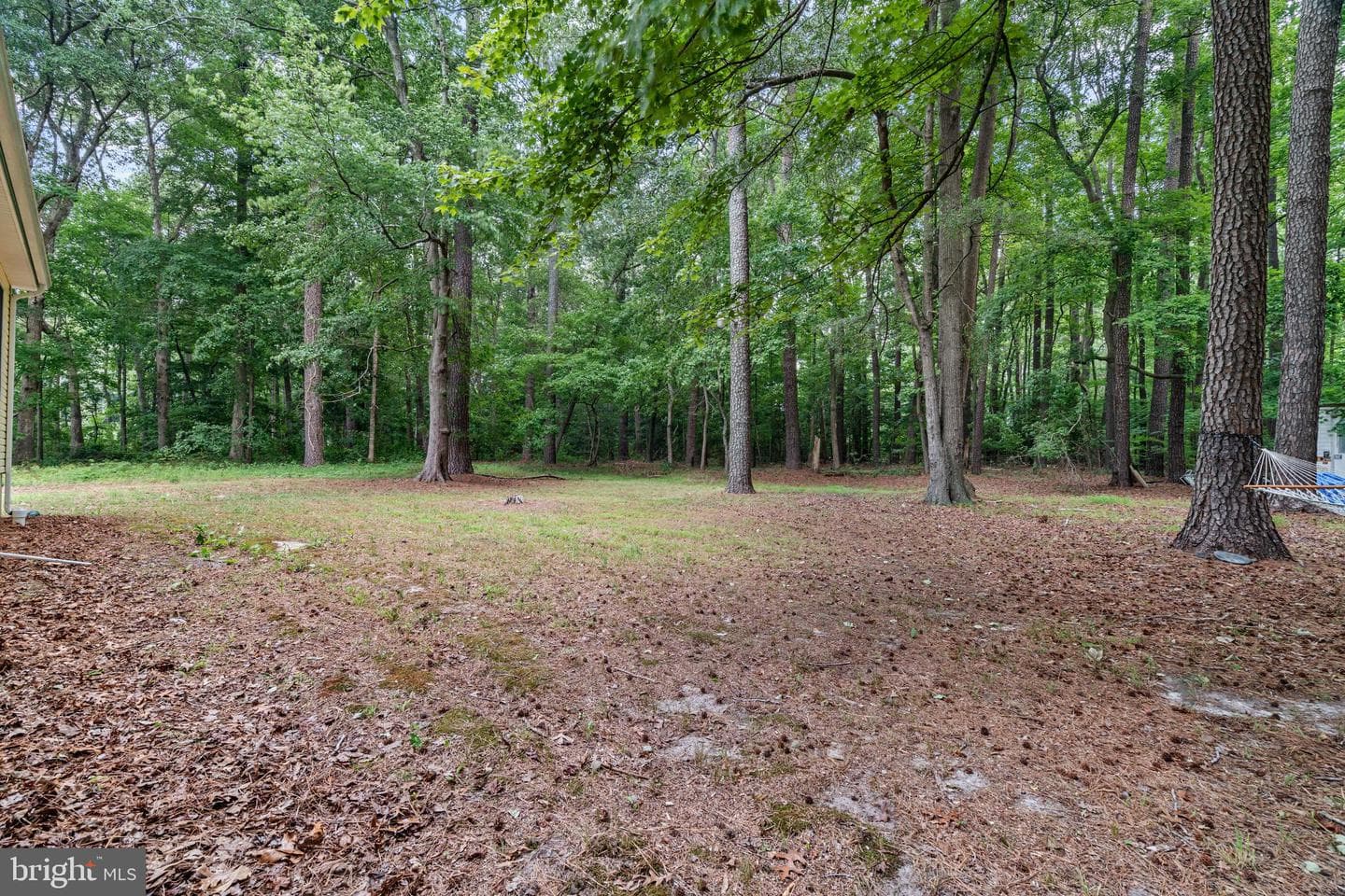 10411 Griffin Road photo 39