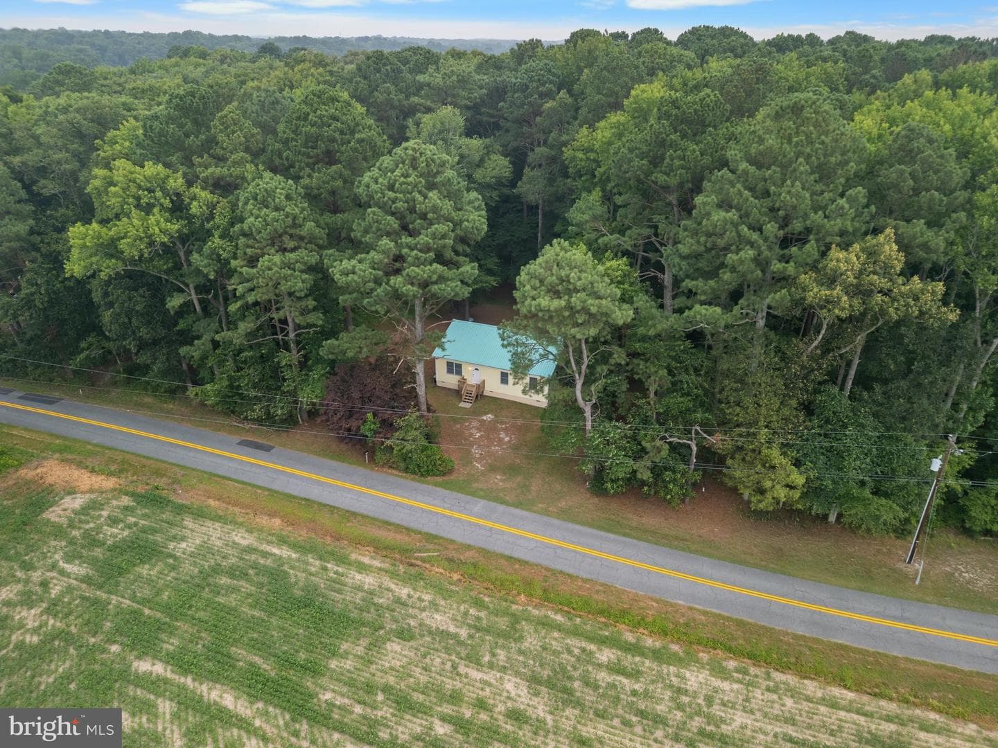 10411 Griffin Road photo 40