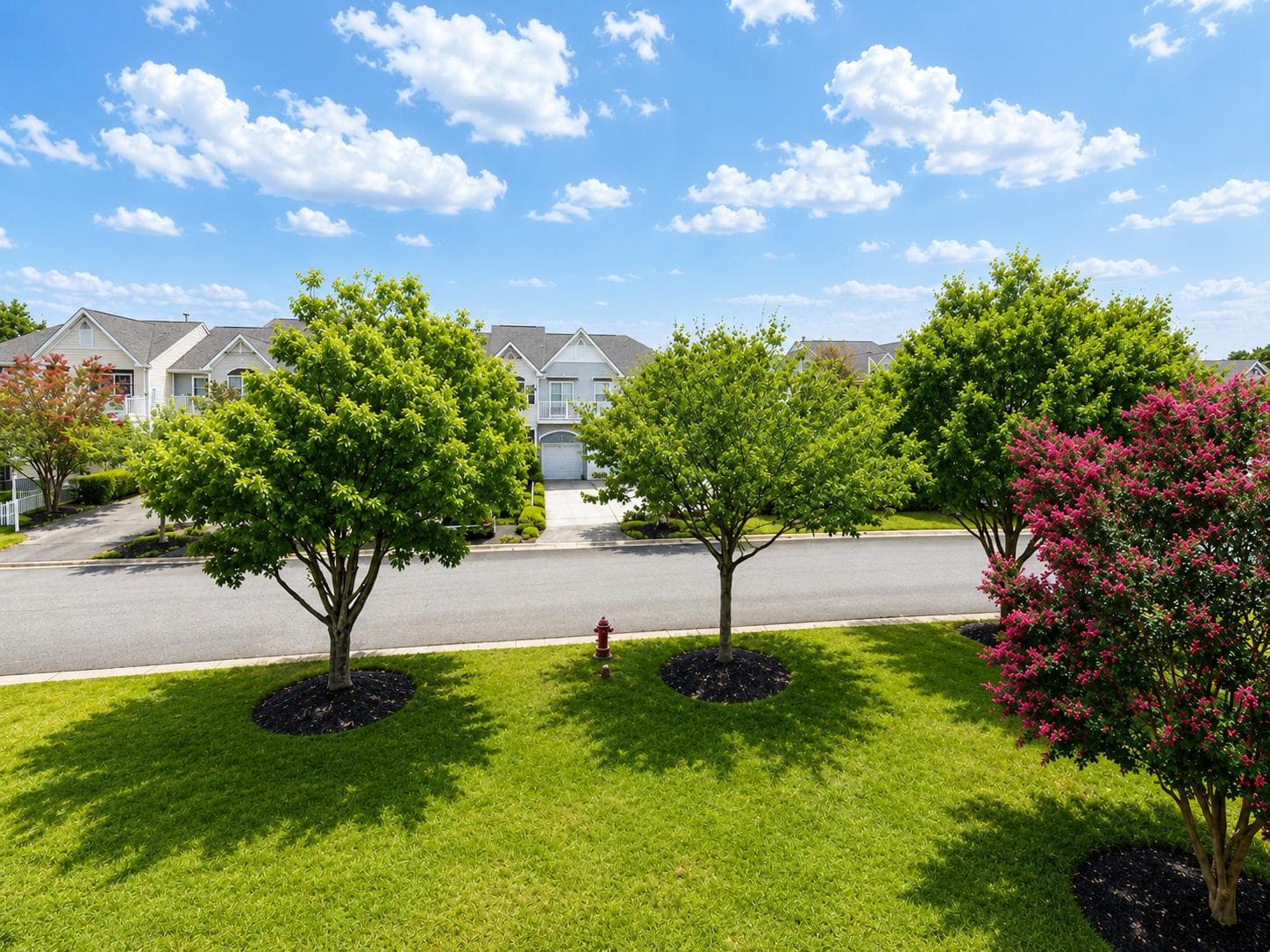 1014 Baybreeze Lane photo 36