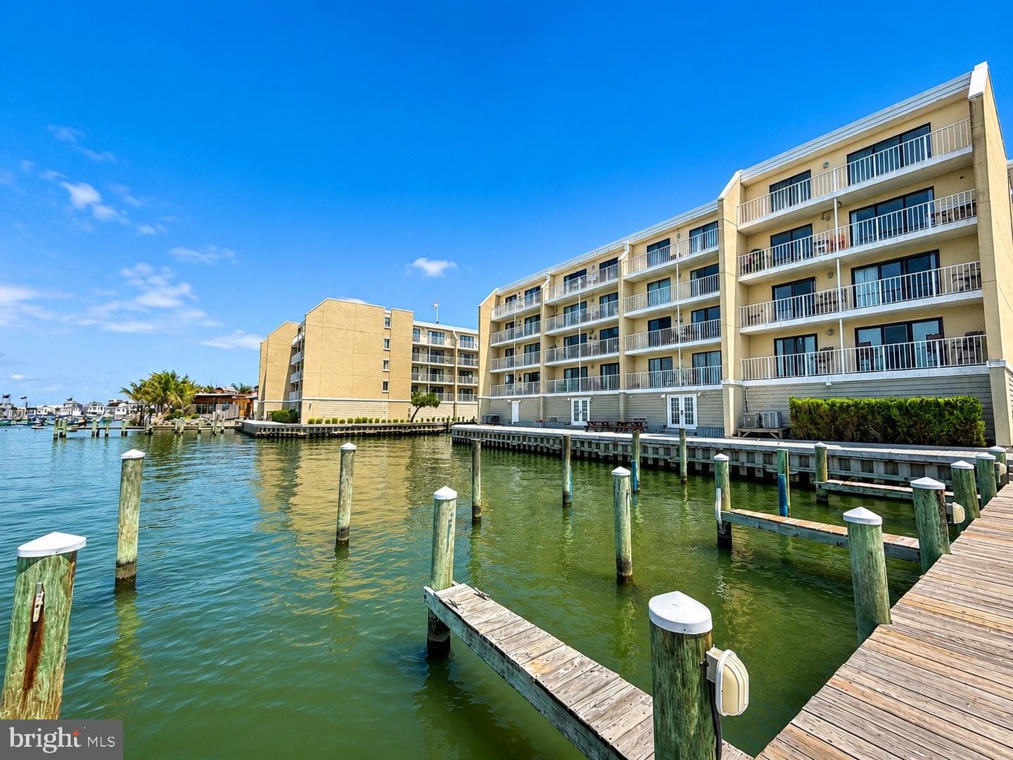 4709 Coastal Highway #555 photo 6