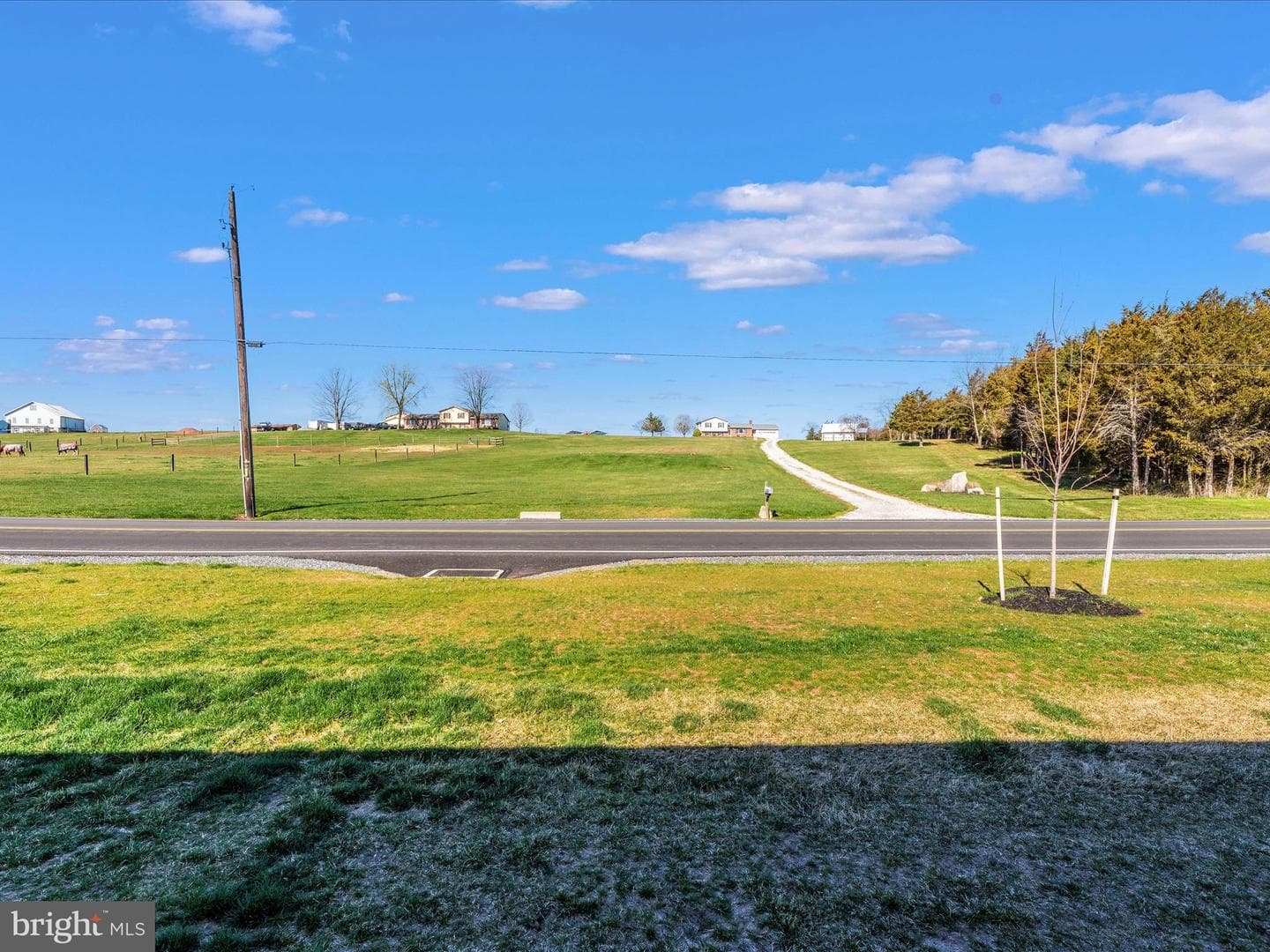 25 River Road photo 49