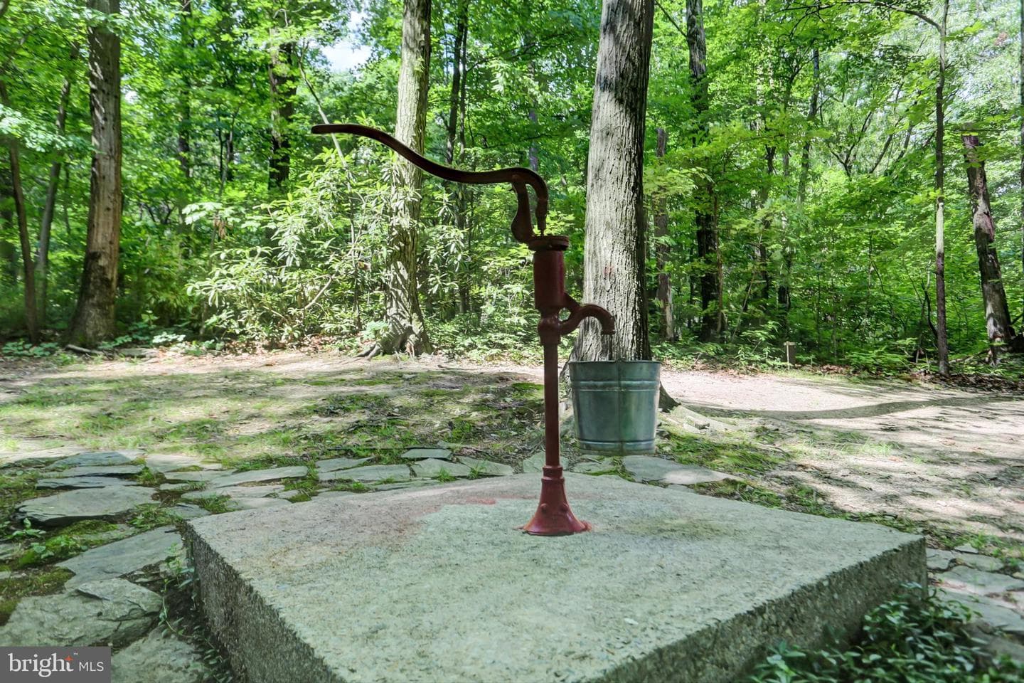 44 Ridge Road photo 28