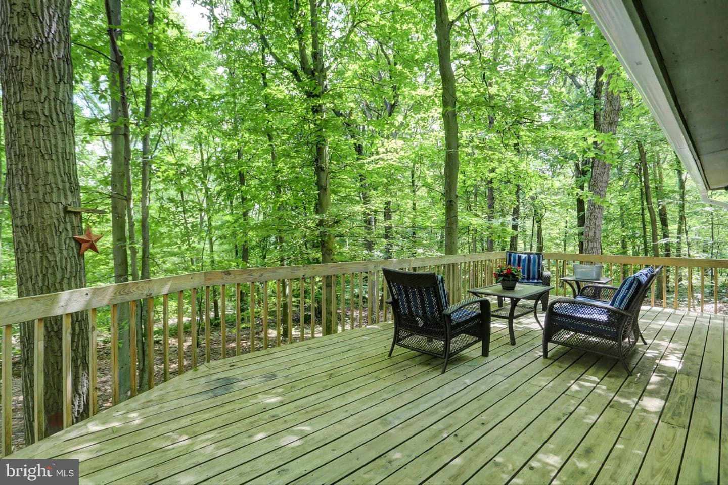 44 Ridge Road photo 29