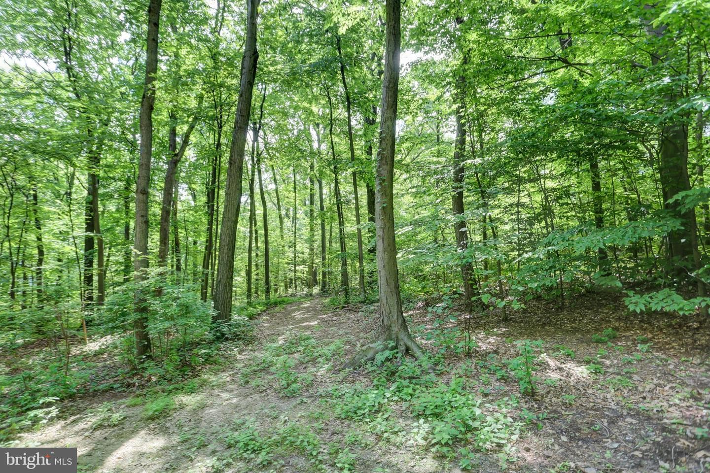 44 Ridge Road photo 3