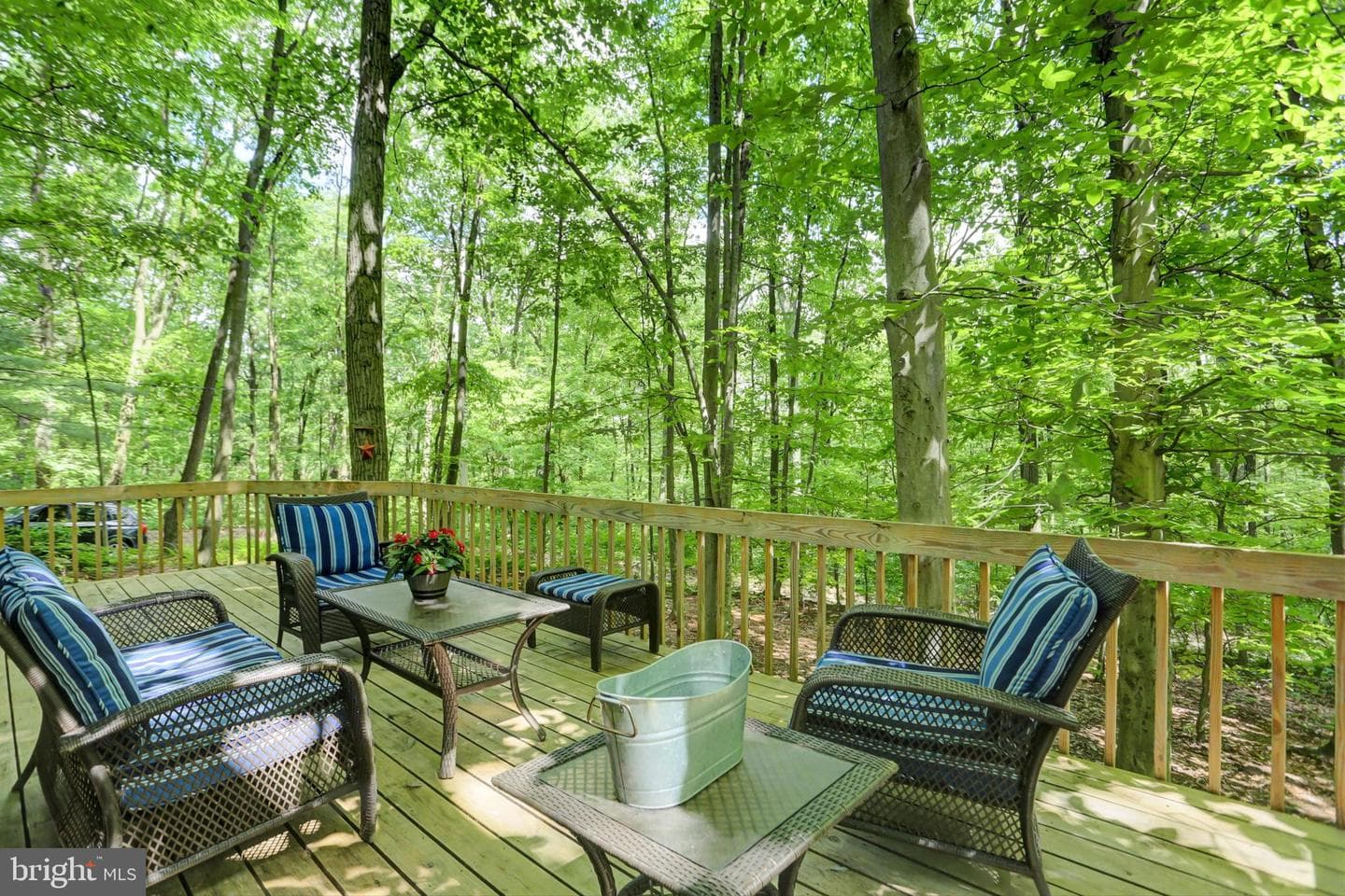 44 Ridge Road photo 4