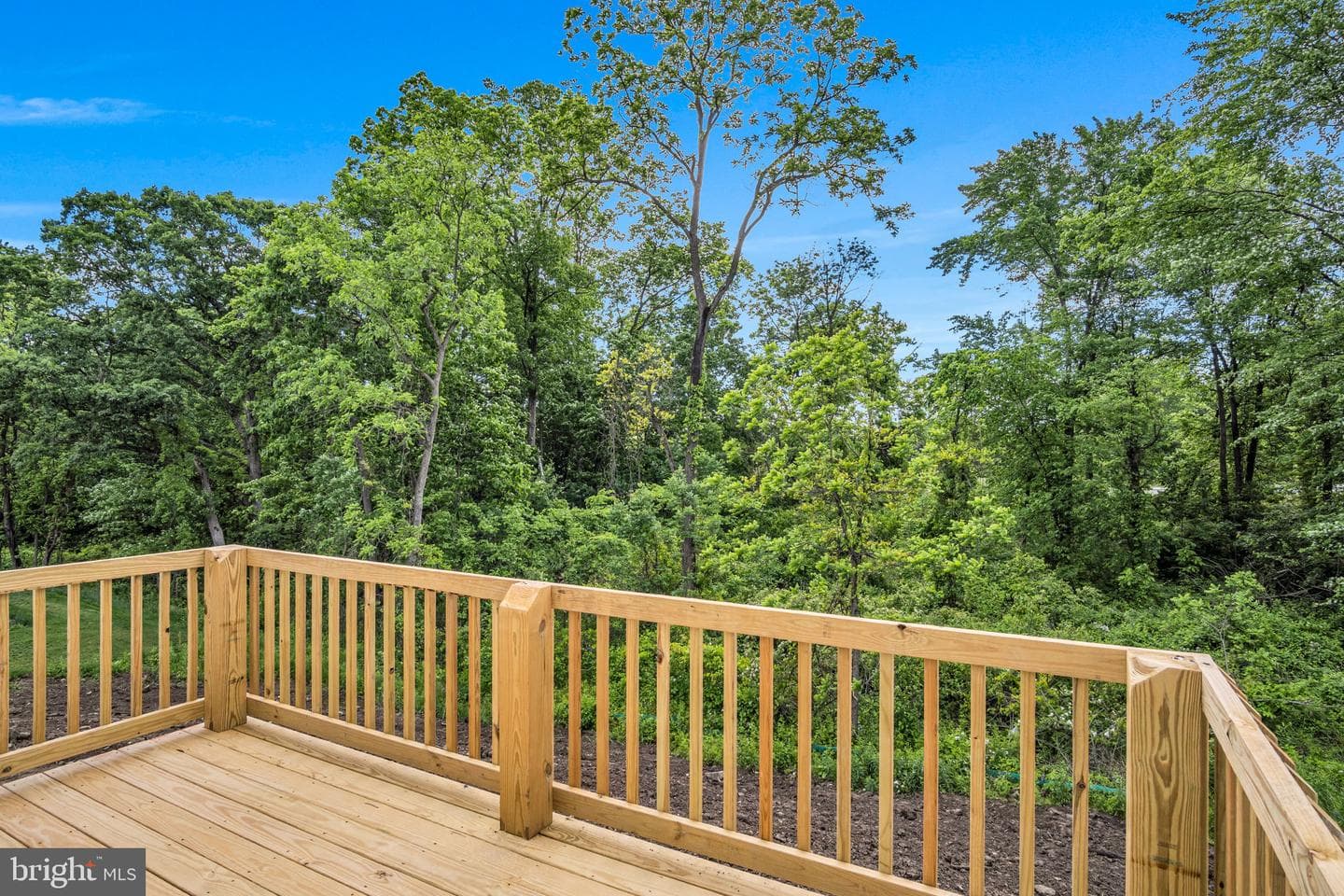 115 Tammy Drive photo 2