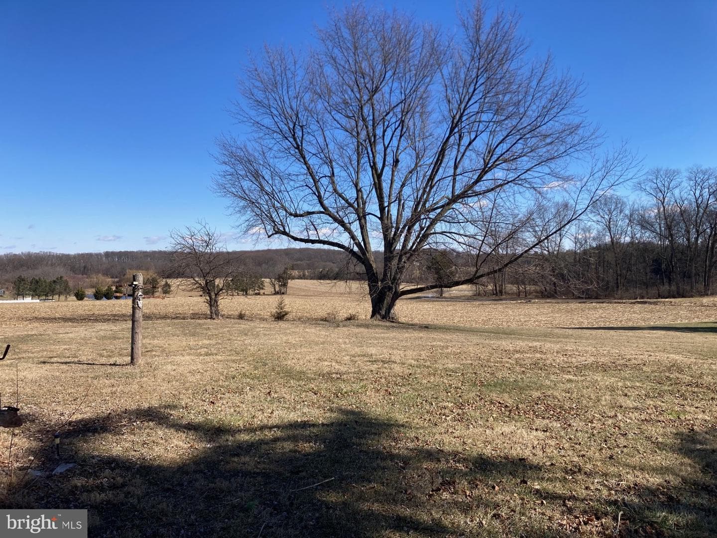 850 Pine Grove Road photo 16