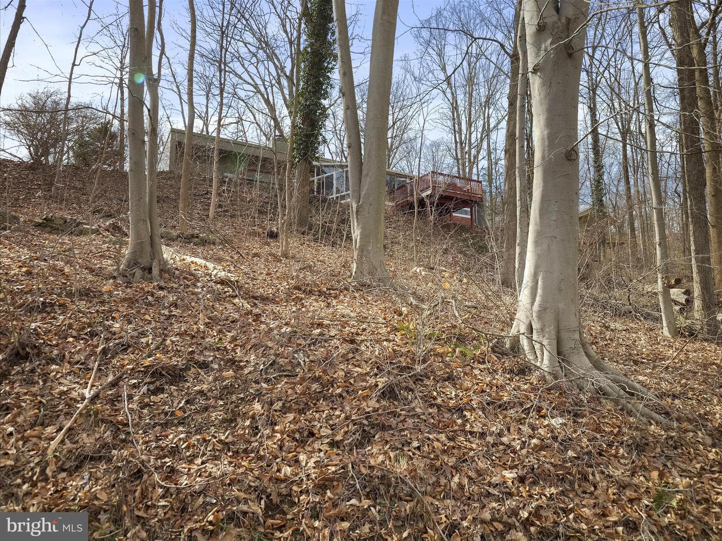 15 Lakeside Trail photo 31