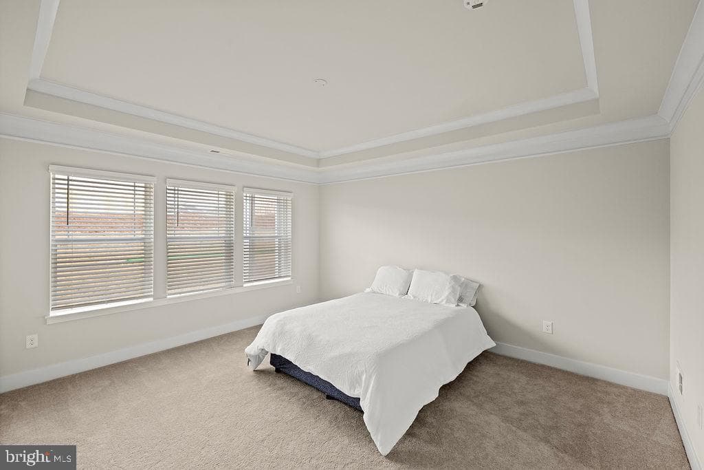 25 Boneset Drive photo 38