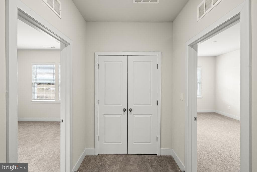 25 Boneset Drive photo 52