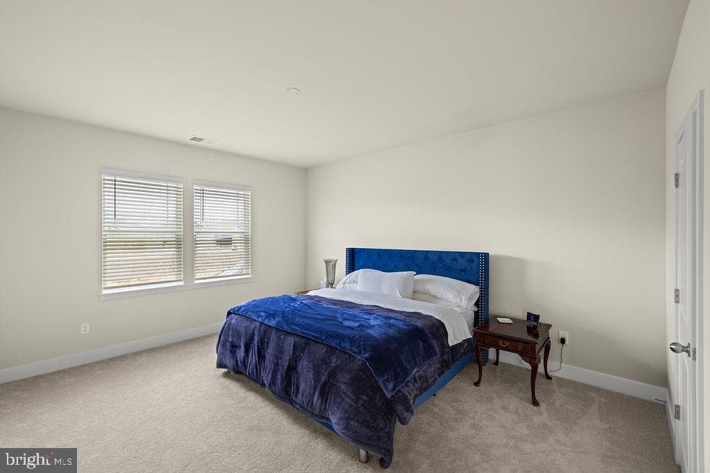 25 Boneset Drive photo 63