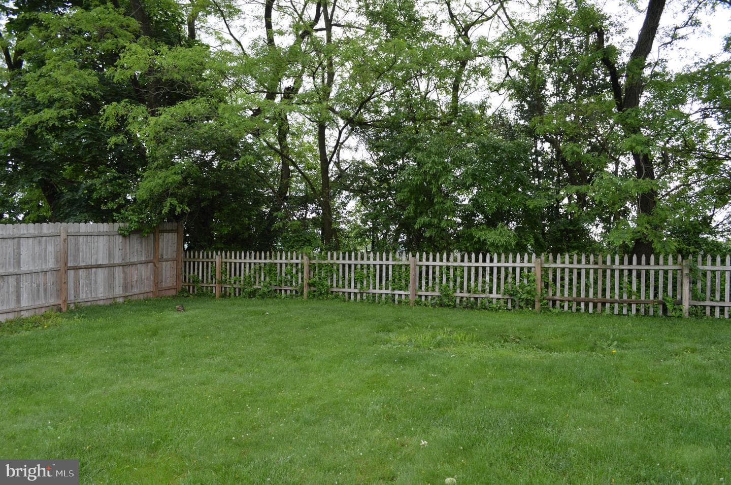 19 E Locust Lane photo 7